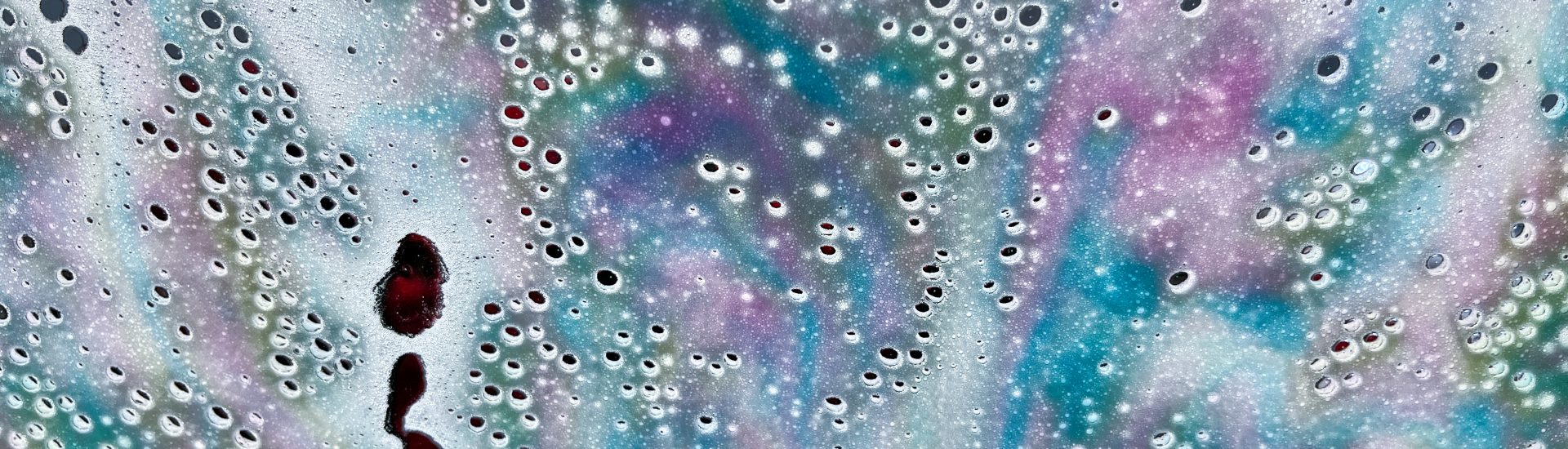 Why Is Using the Right Car Wash Soap Crucial for Protecting Vehicle Paint?